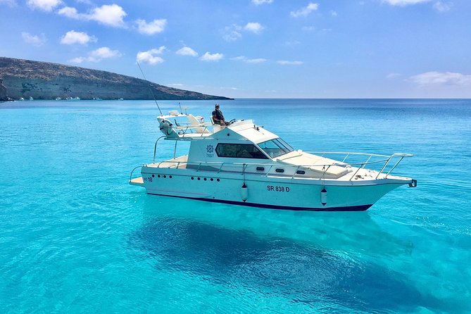 7 hours Boat trip to Lampedusa lunch, SUP and Snorkeling - Wildlife chances: dolphins and turtles are possible, not guaranteed