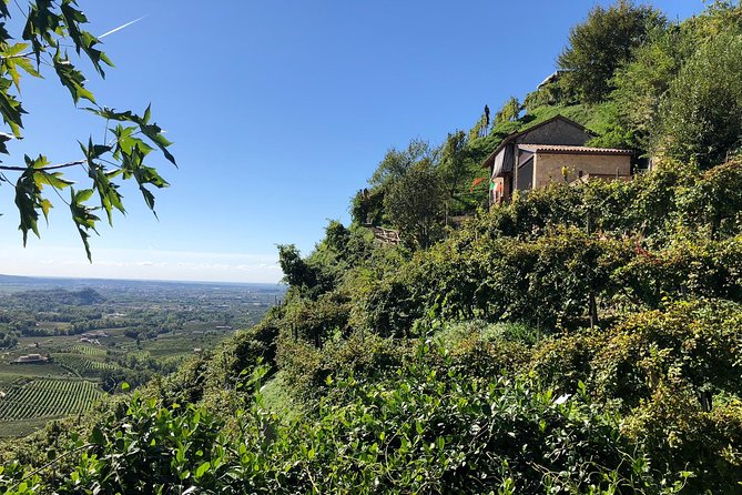 A Sparkling Day in the Prosecco Hills from Venice - Pieve di Soligo lunch at a family osteria and spiedo