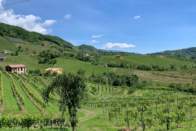 A Sparkling Day in the Prosecco Hills from Venice - Practical tips for train timing and a smooth day