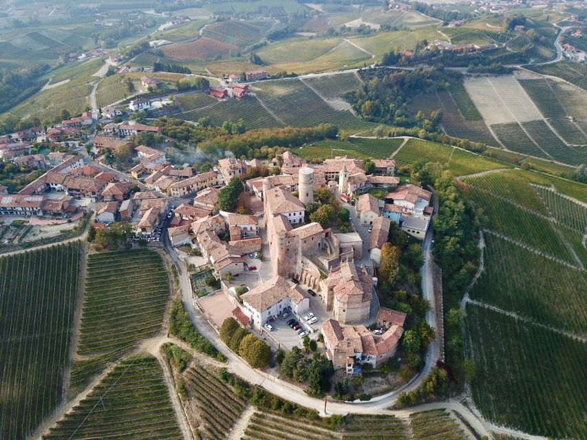 Alba: Truffle Hunting with Cheese, Truffle, & Wine Tastings - Truffle Hunting Near Monforte d’Alba, Not a Theme Park