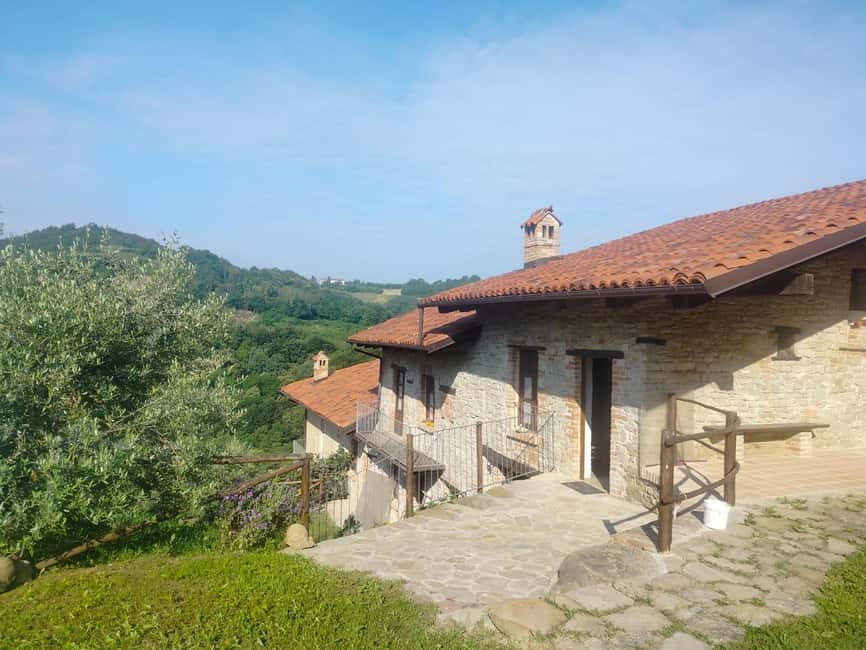 Alba: Truffle Hunting with Cheese, Truffle, & Wine Tastings - Logistics That Can Trip You Up (So Plan Now)