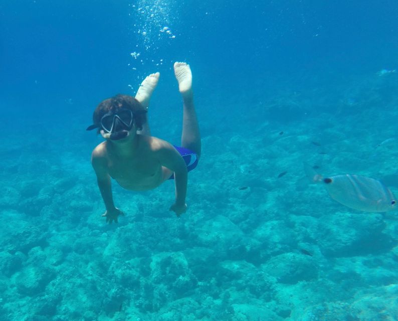 Alghero: Boat Tour with Snorkeling in Porto Conte - Cala Inferno: another swim stop with a change of pace