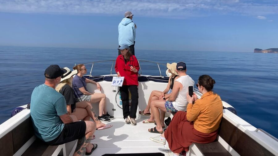 Alghero: Dolphin Watching Tour with Marine Researcher - Getting Sea-Smart: Who Should Take This and Who Should Rethink