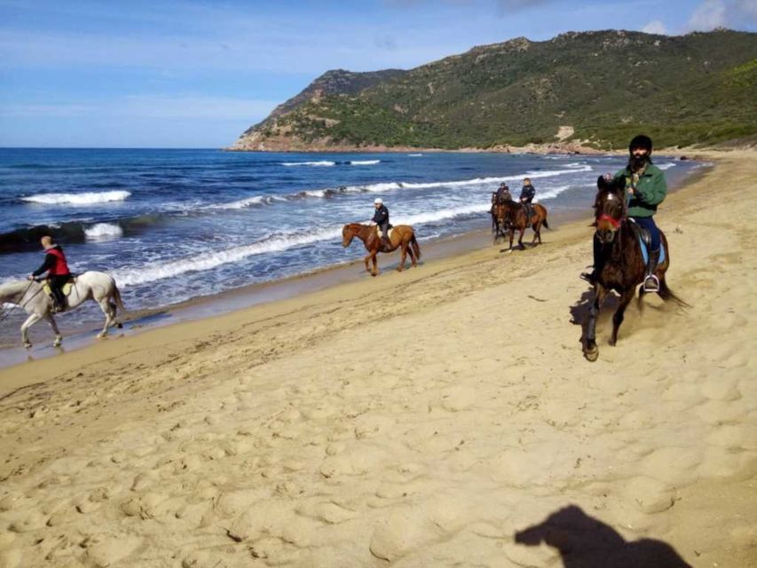 Alghero: Guided Horseback Ride at Lake Baratz & Porto Ferro - Key details you’ll feel on the ride