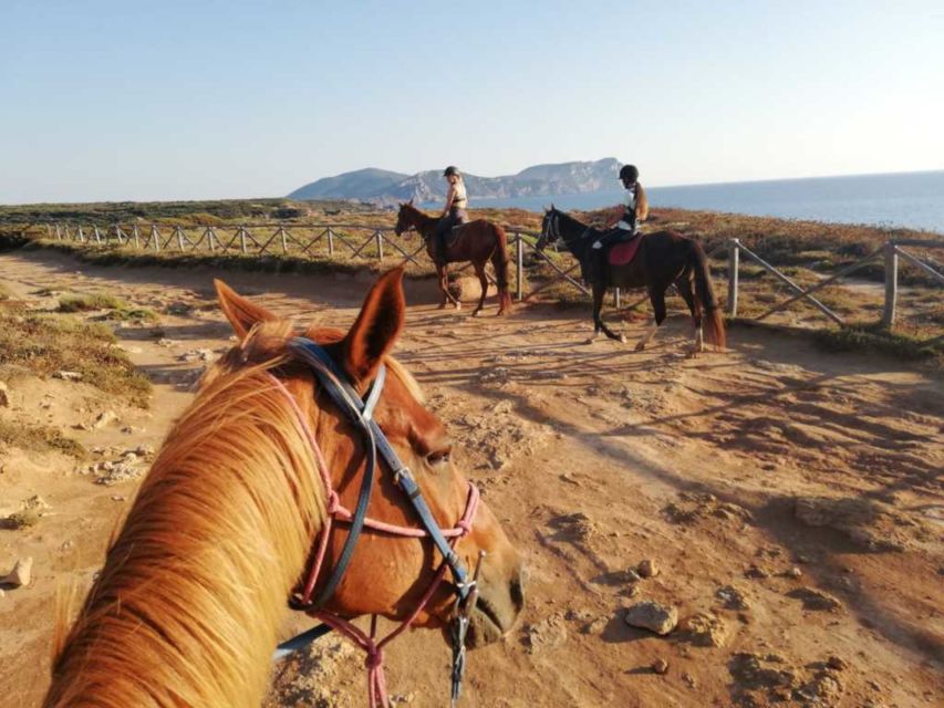 Alghero: Guided Horseback Ride at Lake Baratz & Porto Ferro - The actual route: Lake Baratz loop, forest trails, then Porto Ferro Beach
