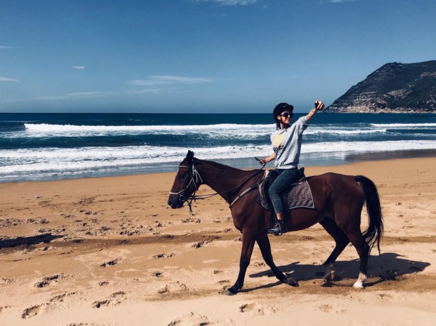 Alghero: Guided Horseback Ride at Lake Baratz & Porto Ferro - Porto Ferro Beach: ocean spray, red coral roots, and 17th-century watchtowers