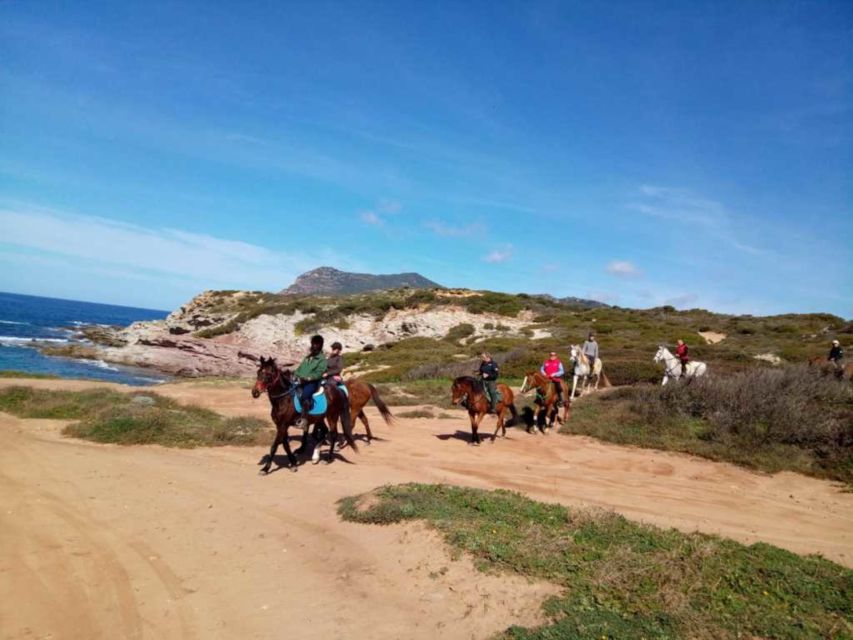 Alghero: Guided Horseback Ride at Lake Baratz & Porto Ferro - Horse safety and care: calm mounts, trained handling, extra help