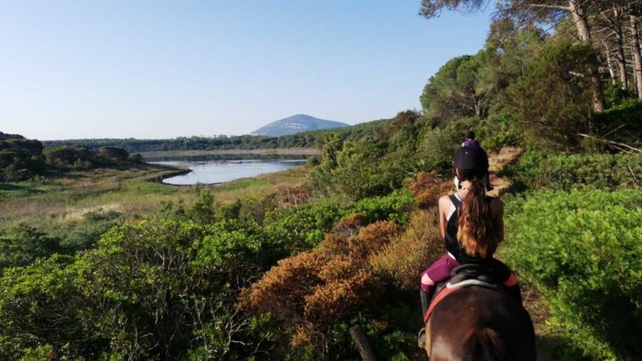 Alghero: Guided Horseback Ride at Lake Baratz & Porto Ferro - Price and value: what $98 covers in a 2-hour nature ride