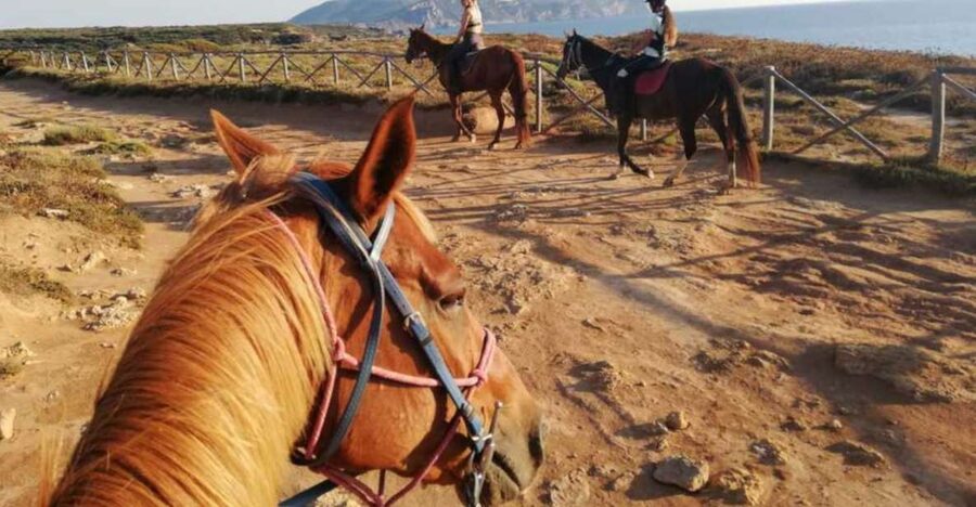 Alghero: Guided Horseback Ride at Lake Baratz & Porto Ferro - Entering the day: meet your guide, get your equipment, then ride
