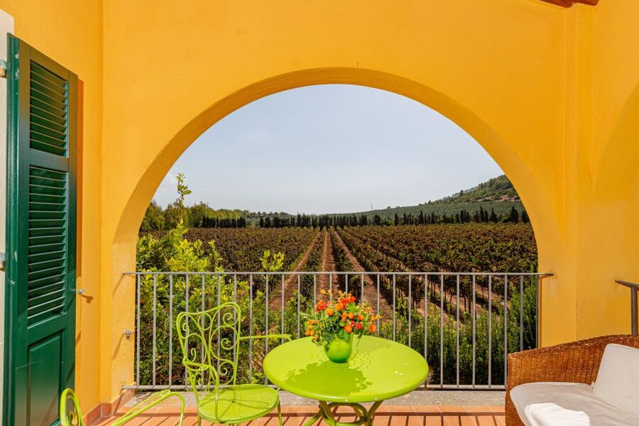 Alghero: Wine and Olive Oil Tasting at a Local Farm - Ledà dIttiri: a boutique farm experience in wine country
