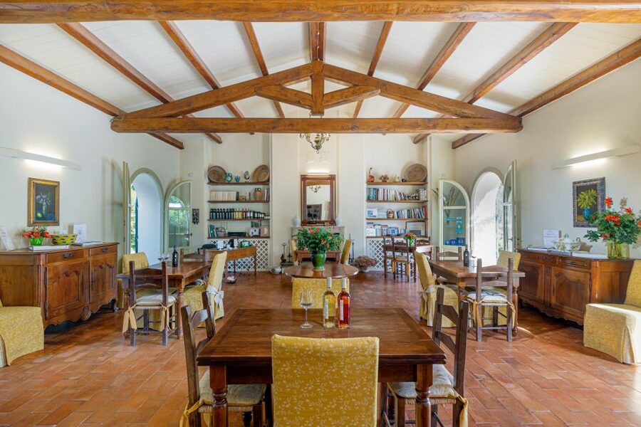 Alghero: Wine and Olive Oil Tasting at a Local Farm - The tasting room setup: five wines, food pairings, and a table already arranged