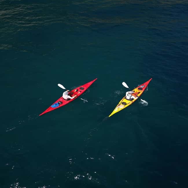 Amalfi Coast: Kayak & Snorkeling tour, sea caves and beach - Key Points That Make This Tour Worth It