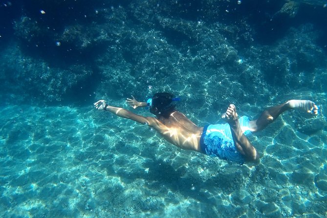 Amalfi Coast Kayak Tours from Marina del Cantone - Quick Hits Before You Go