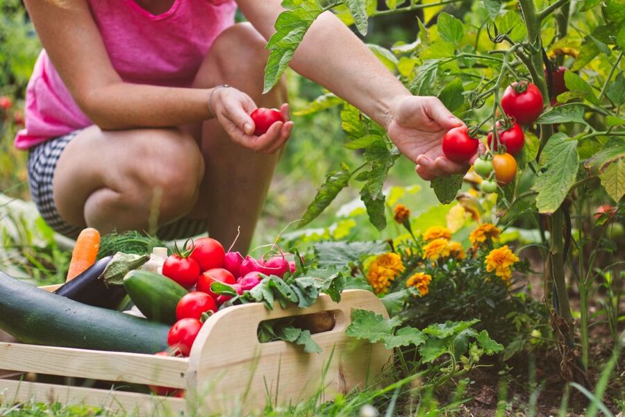 Amalfi: Cooking Class and Farmhouse Visit With Meal - Price and value: what you are really paying for