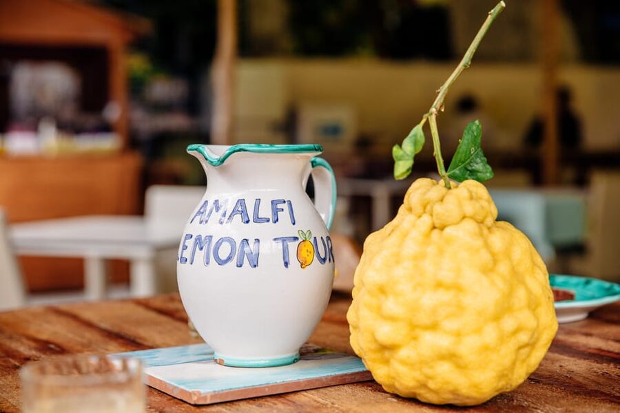 Amalfi: Vertical Lemon Farm Tour, Tastings, and Rural Museum - Limoncello Laboratory: How the Lemon Becomes a Specialty