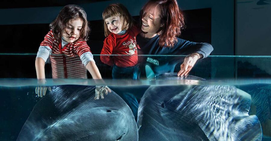 Aquarium of Cattolica Entry Ticket - Key things to know before you go