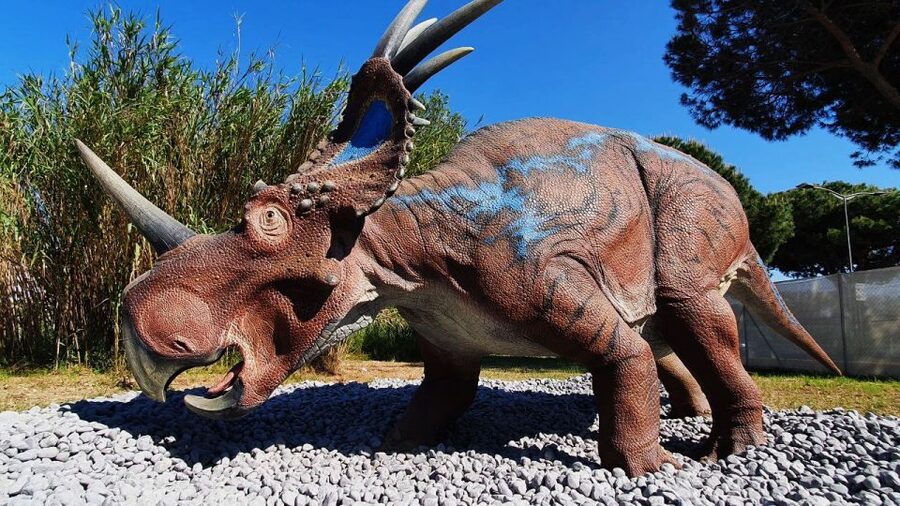 Aquarium of Cattolica Entry Ticket - 3D models, science exhibits, and Giant Insects XXL Edition