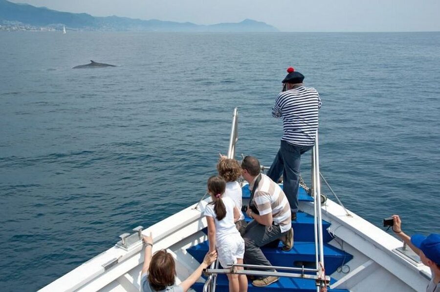 Aquarium of Genoa Ticket and Whale Watching Cruise - Key points to know before you go