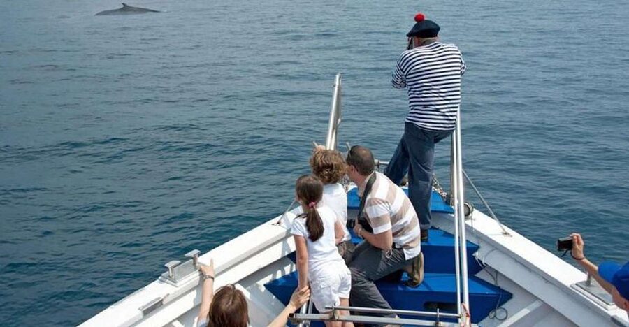 Aquarium of Genoa Ticket and Whale Watching Cruise - Planning your day: how the aquarium time links to your boat slot
