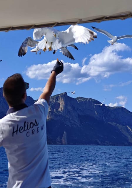 Arbatax: Gulf of Orosei Day Tour by Boat - Key things I’d circle on your shortlist