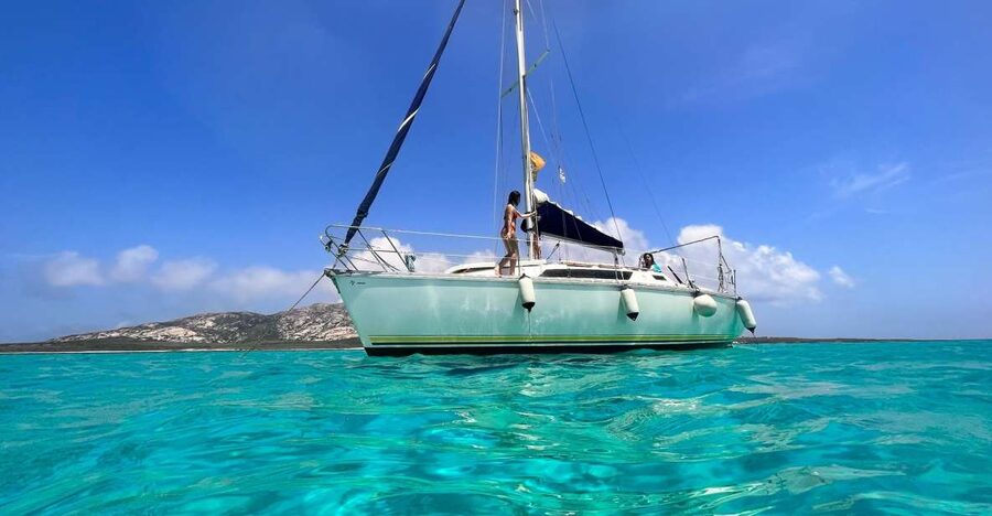 Asinara: Full Day Sailboat Excursion from Stintino - Asinara National Park Stops, Swim Time, and Masks Included