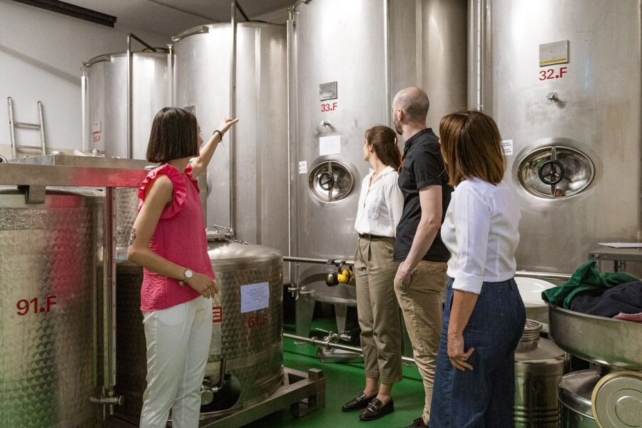 Bardolino: Lake Garda Oil Mill Tour with Olive Oil Tasting - Key highlights worth planning for