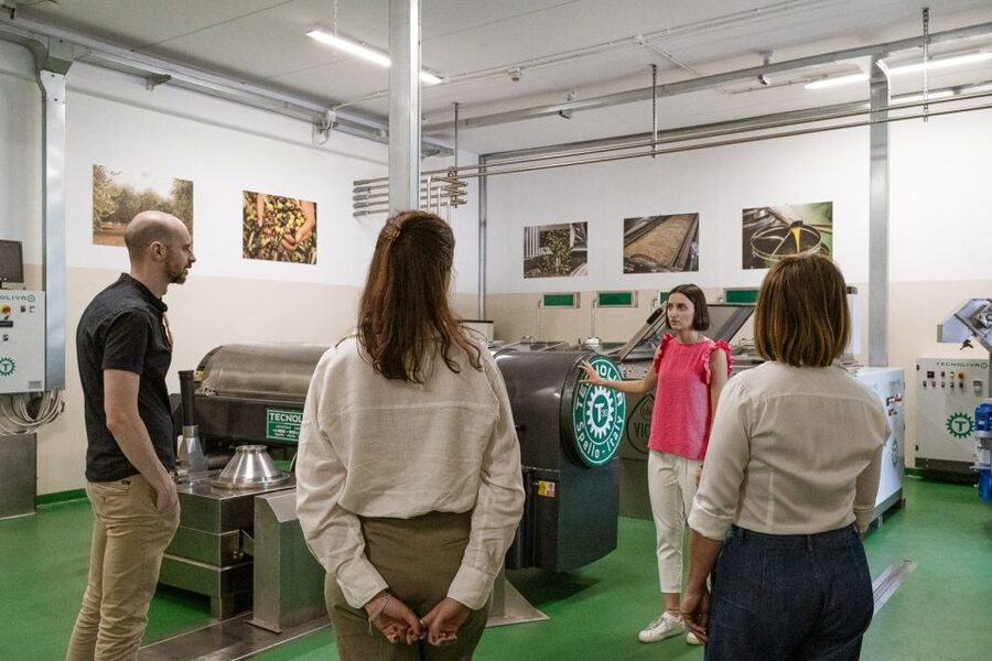 Bardolino: Lake Garda Oil Mill Tour with Olive Oil Tasting - Value check: why $31 can be a smart buy