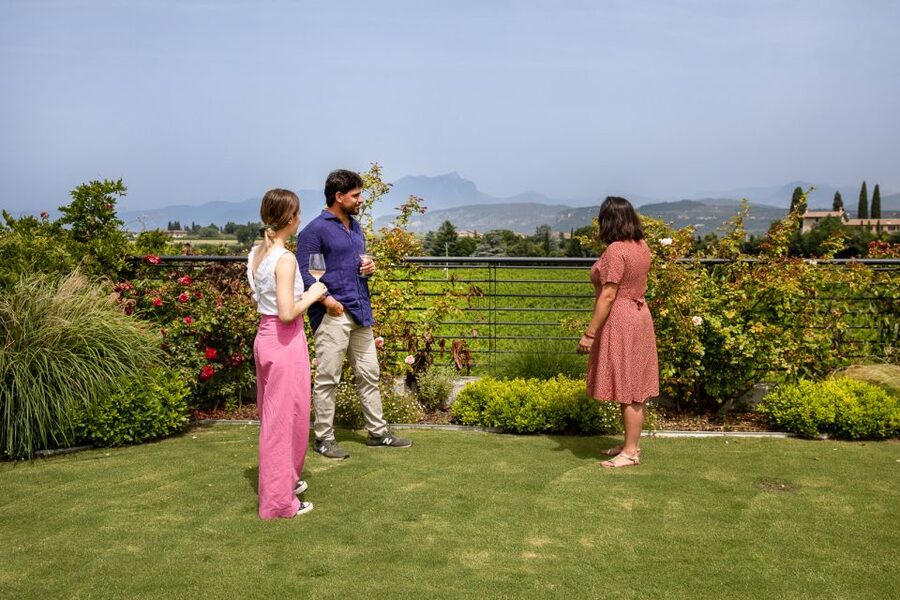Bardolino: Vineyard Tour with Wine and Food Tasting - Key points to know before you go