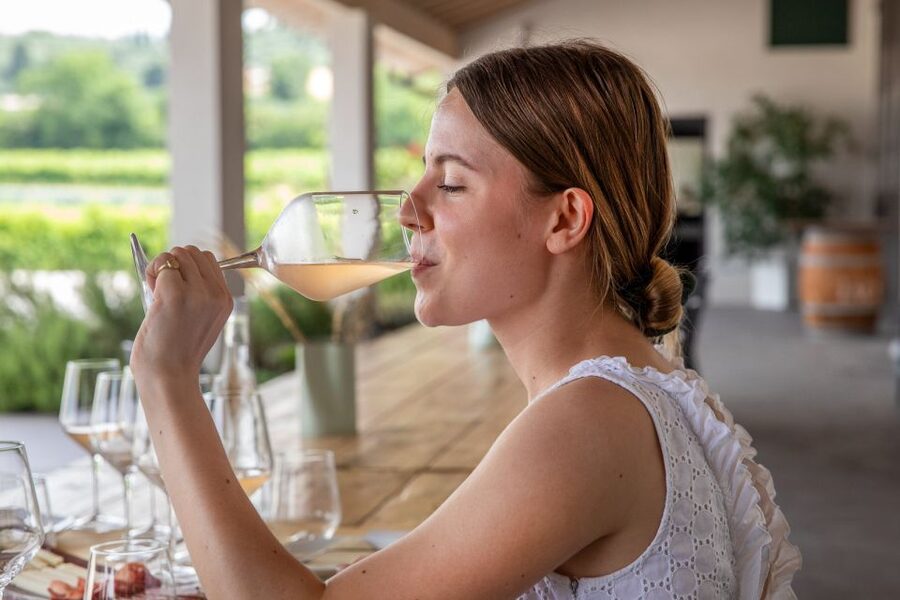 Bardolino: Vineyard Tour with Wine and Food Tasting - Guide quality: why it often feels like the main event