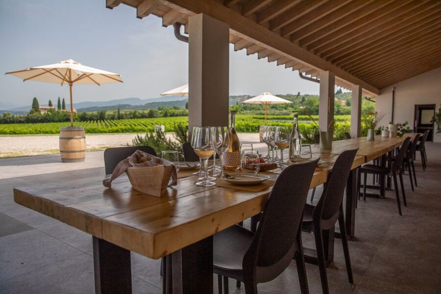 Bardolino: Vineyard Tour with Wine and Food Tasting - The tasting: four wines matched to Monte Veronese and Soppres