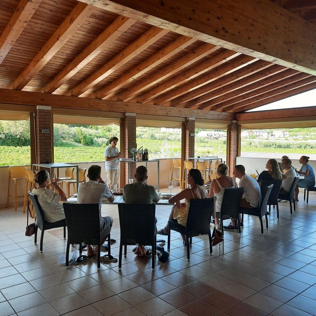 Bardolino: Vineyard Tour with Wine, Olive Oil & Food Tasting - Key highlights I’d plan around