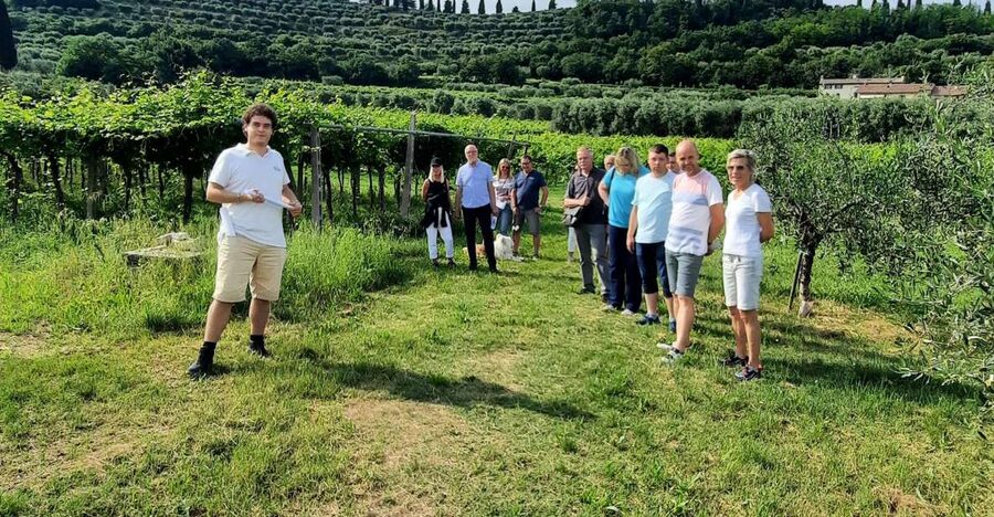 Bardolino: Vineyard Tour with Wine, Olive Oil & Food Tasting - Arriving at Agriturismo La Rocca: setting your expectations