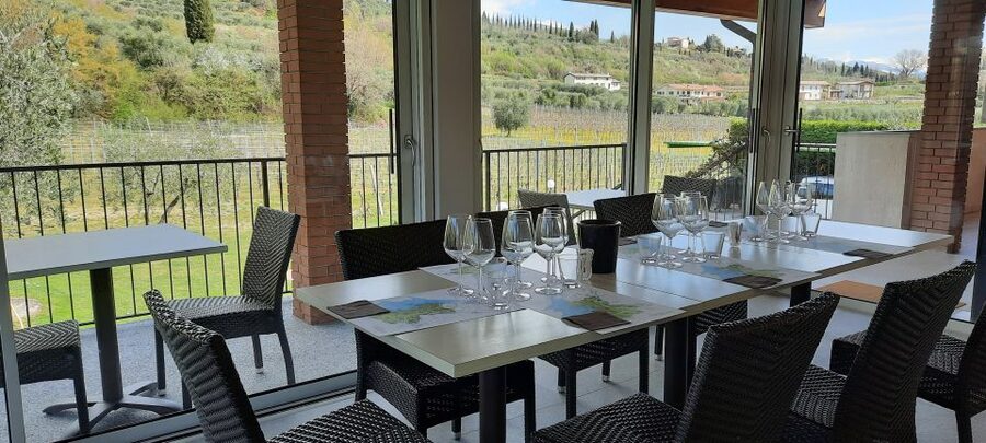 Bardolino: Vineyard Tour with Wine, Olive Oil & Food Tasting - Local cold cuts and cheeses: the pairing that keeps it real