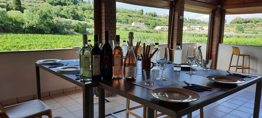 Bardolino: Vineyard Tour with Wine, Olive Oil & Food Tasting - Vineyard tour on Rocca del Garda: how the grapes and olive trees connect