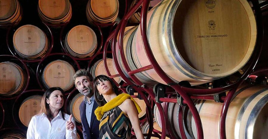Bolgheri: Winery Tour with Wine Tasting - Key highlights to know before you go