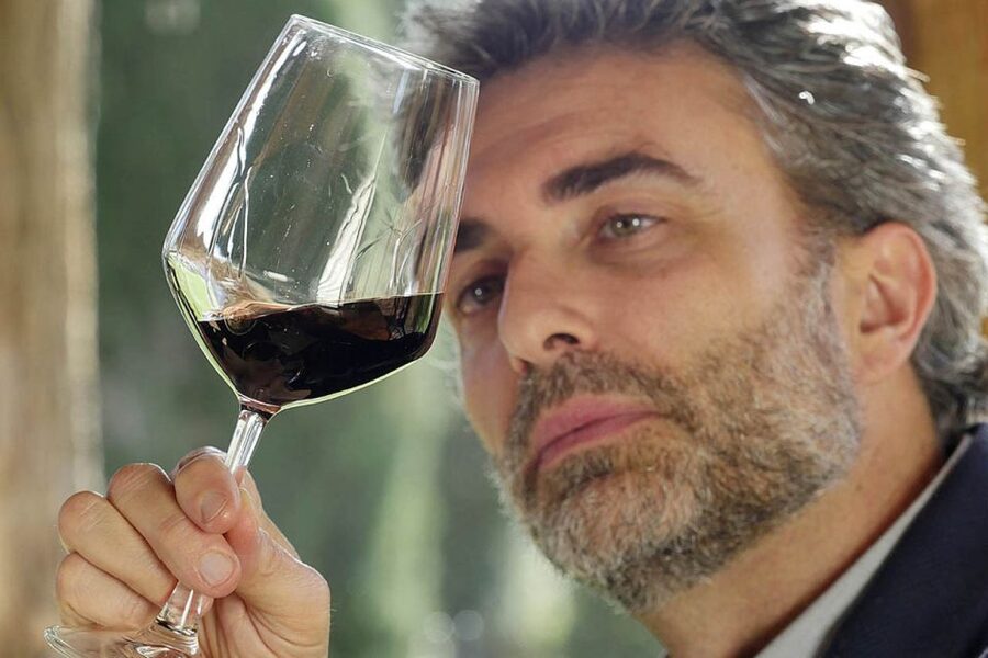 Bolgheri: Winery Tour with Wine Tasting - Who should book this, and who should skip it