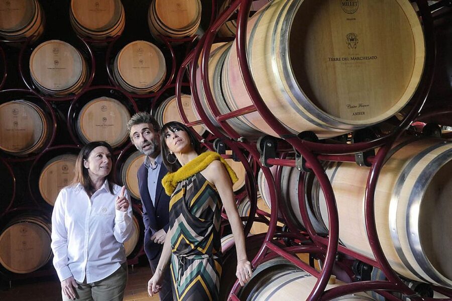 Bolgheri: Winery Tour with Wine Tasting - Vineyard to winery: what you see during the grape-to-glass part