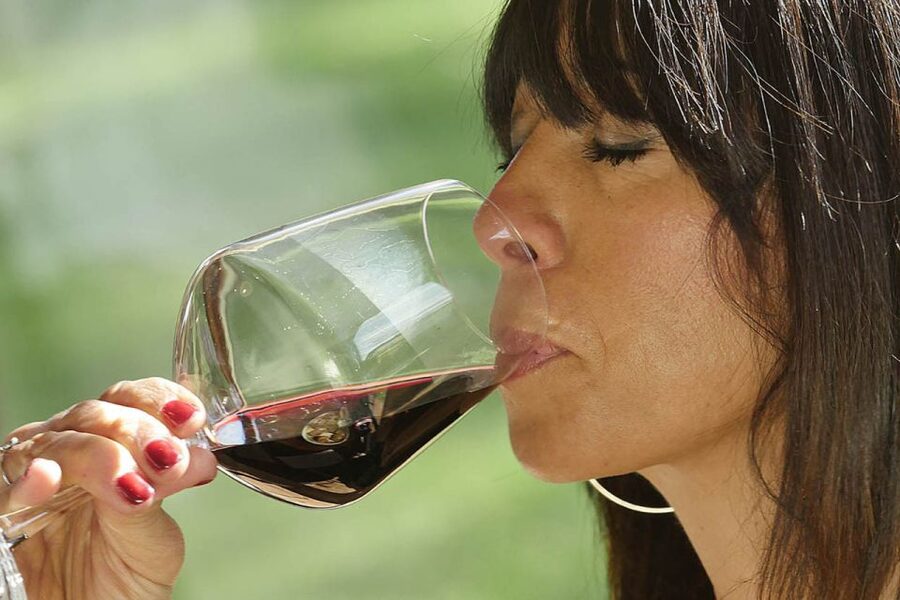 Bolgheri: Winery Tour with Wine Tasting - The tasting table: choose Classic, Sensorial, or Premium