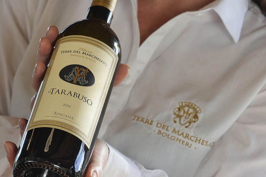 Bolgheri: Winery Tour with Wine Tasting - What the guide’s explanation should do for you