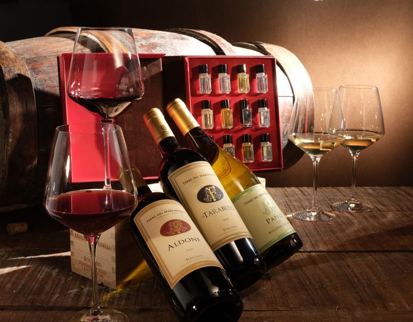 Bolgheri: Winery Tour with Wine Tasting - How to pick your tasting option (without overthinking it)