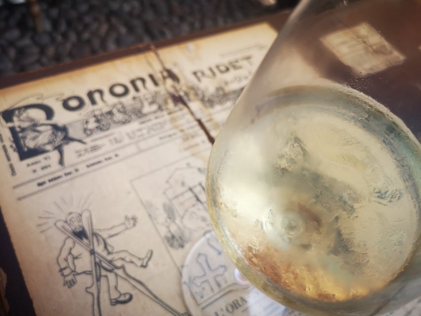 Bologna: City Center Guided Wine Walking Tour - Bologna Wine Walking Tour, city-center style