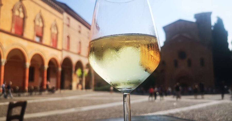 Bologna: City Center Guided Wine Walking Tour - Meet at Piazza del Nettuno, then walk into the wine scene