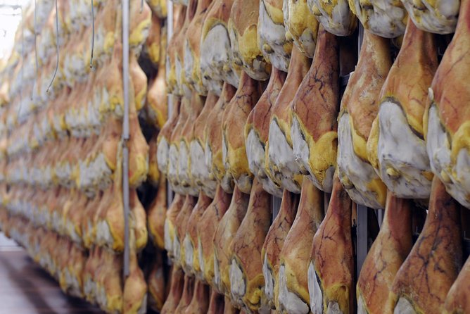 Bologna Food Experience: Factory tours & Family-Style Lunch - Castelvetro di Modena traditional balsamic: breakfast of champions and barrel room smells