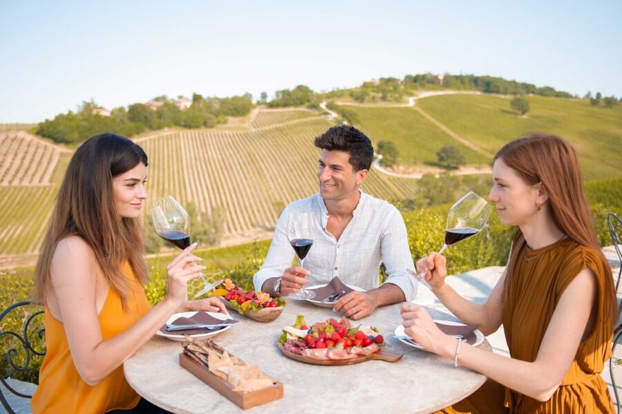 Bologna: Olive Grove and Vineyard Tour with Product Tastings - What the 1 to 1.5 hour visit feels like on-site