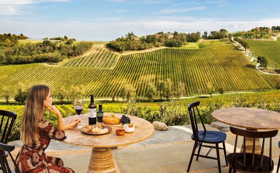 Bologna: Olive Grove and Vineyard Tour with Product Tastings - 700 hectares of olives and vineyards, plus the garden walk