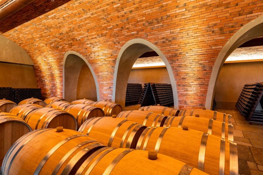 Bologna: Olive Grove and Vineyard Tour with Product Tastings - Saffron, Goji berries, and herb-flavored salts: the farm’s product world