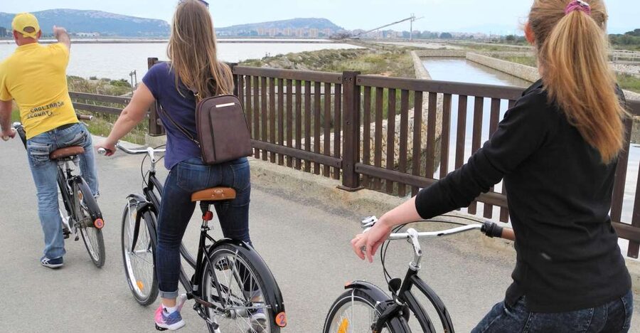 Cagliari: Bike Tour in the Flamingo Oasis - Pedal along the sea and river bike path, then through the urban art corridor