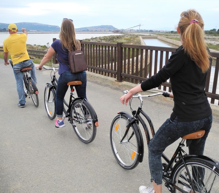 Cagliari: Bike Tour in the Flamingo Oasis - Flamingo watching: multiple viewpoints, gentle pace, and how to get better sightings