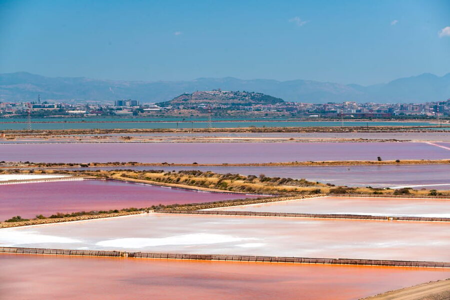 Cagliari: Conti Vecchi Salt Flats Train and Tour - Key takeaways before you go