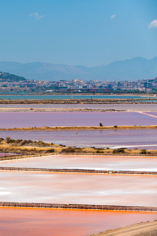 Cagliari: Conti Vecchi Salt Flats Train and Tour - Luigi Conti Vecchi’s story: how engineering shaped everyday prosperity